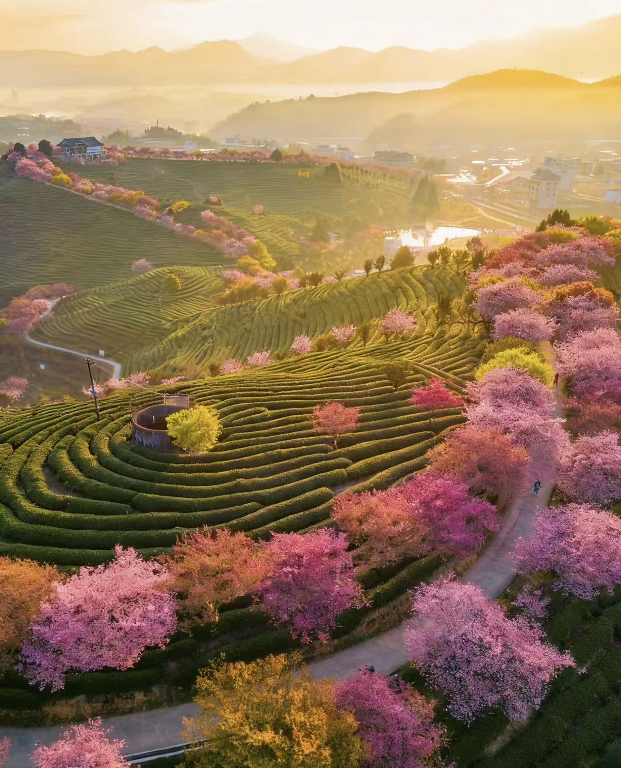 Junxustea Artisan Porcelain Mug - Hand-Painted Floral Relief, Luxury Gift Box Included