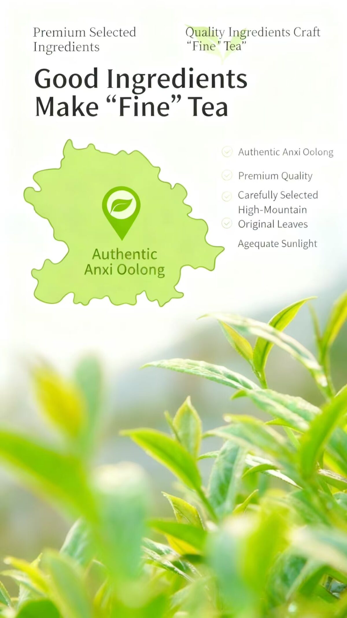 微信图片_20251130183126_394_6 Charcoal Roasted Black Oolong Tea - Natural Fat Burner, Oil Cutting Tea for Weight Management, Premium Healthy Oolong