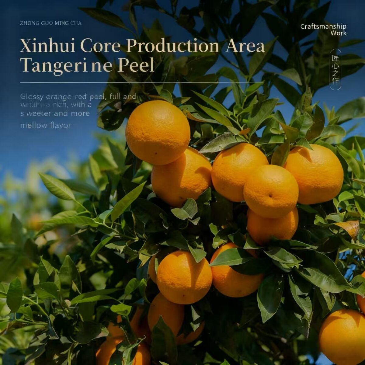 Fujian Tangerine Peel Shoumei White Tea 250g, 5 Gift Boxes (10 Individual Tea Bags per Box), Compressed Flavored Tea, Healthy Portable Tea Gift Set