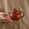 Junxistea Handcrafted Yixing Zisha Wendan Teapot with Orchid Gold Foil - 100ml Gongfu Tea Pot Yixing teapot