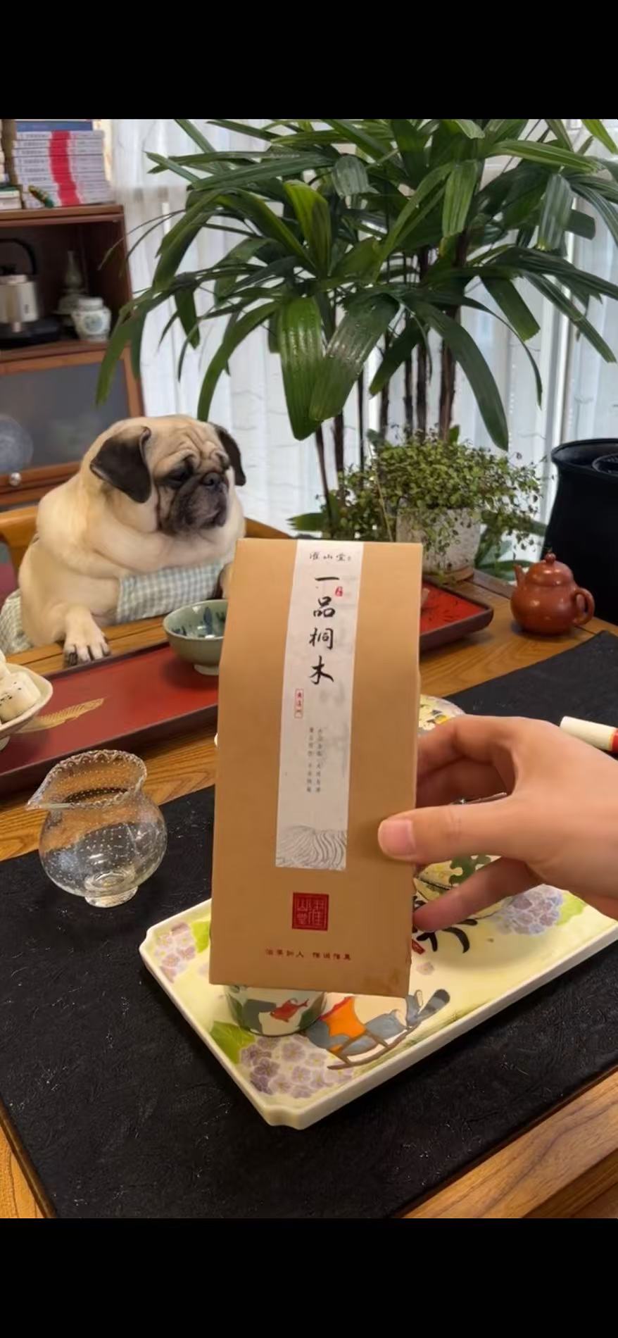 2026 Zhengshan Xiaozhong Black Tea - Tongmu Guan Wuyi Origin, 250g