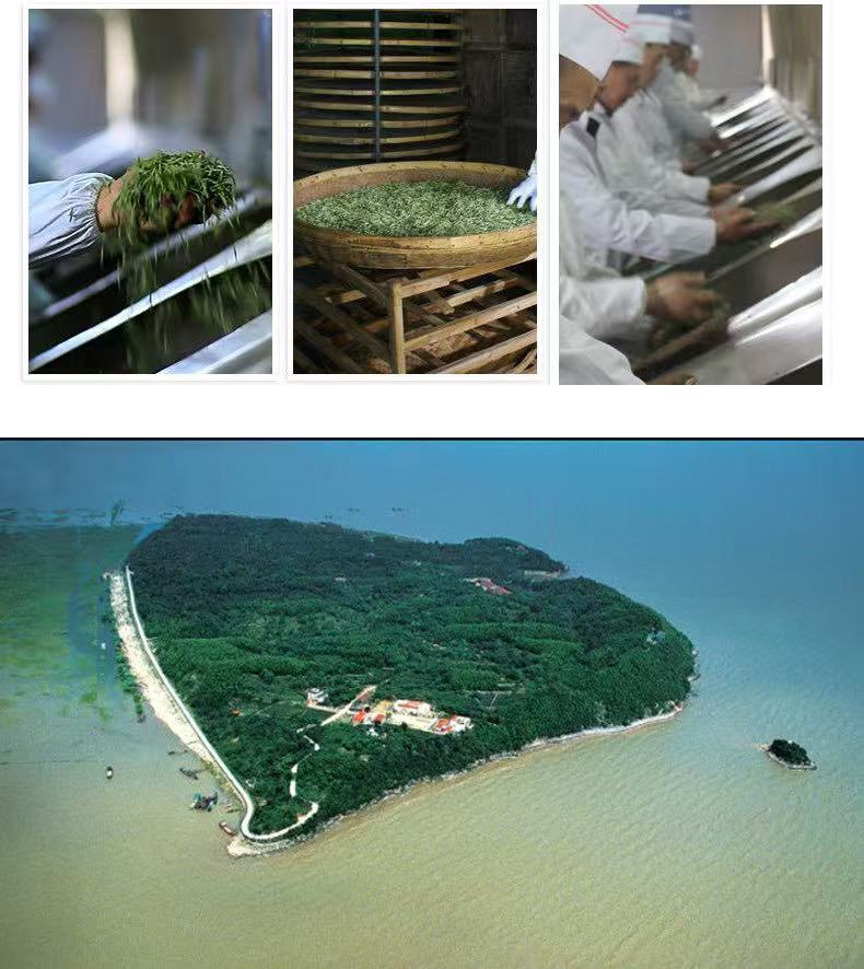 微信图片_20260129223553_1503_6(1) Premium Junshan Silver Needle Yellow Tea - 100g Tin (Spring Harvest)