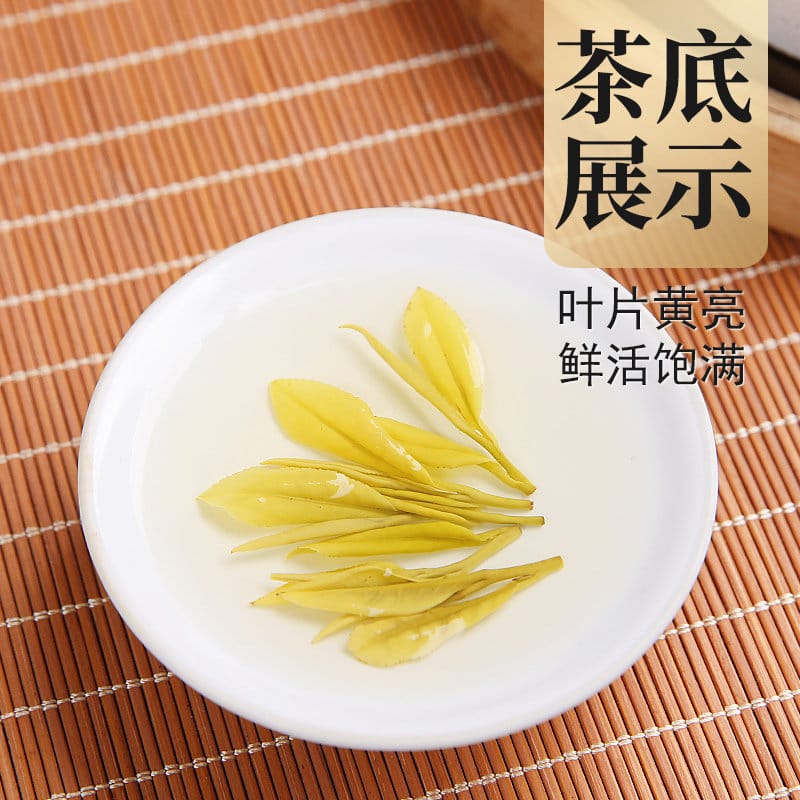 Golden Bud Green Tea Gift Box - 250g Premium Anji Spring Harvest