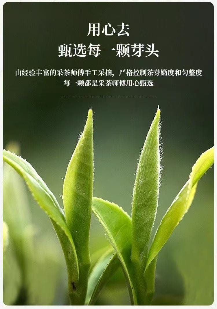 Exquisite Junshan Silver Needle Yellow Tea | 100g Premium Tin