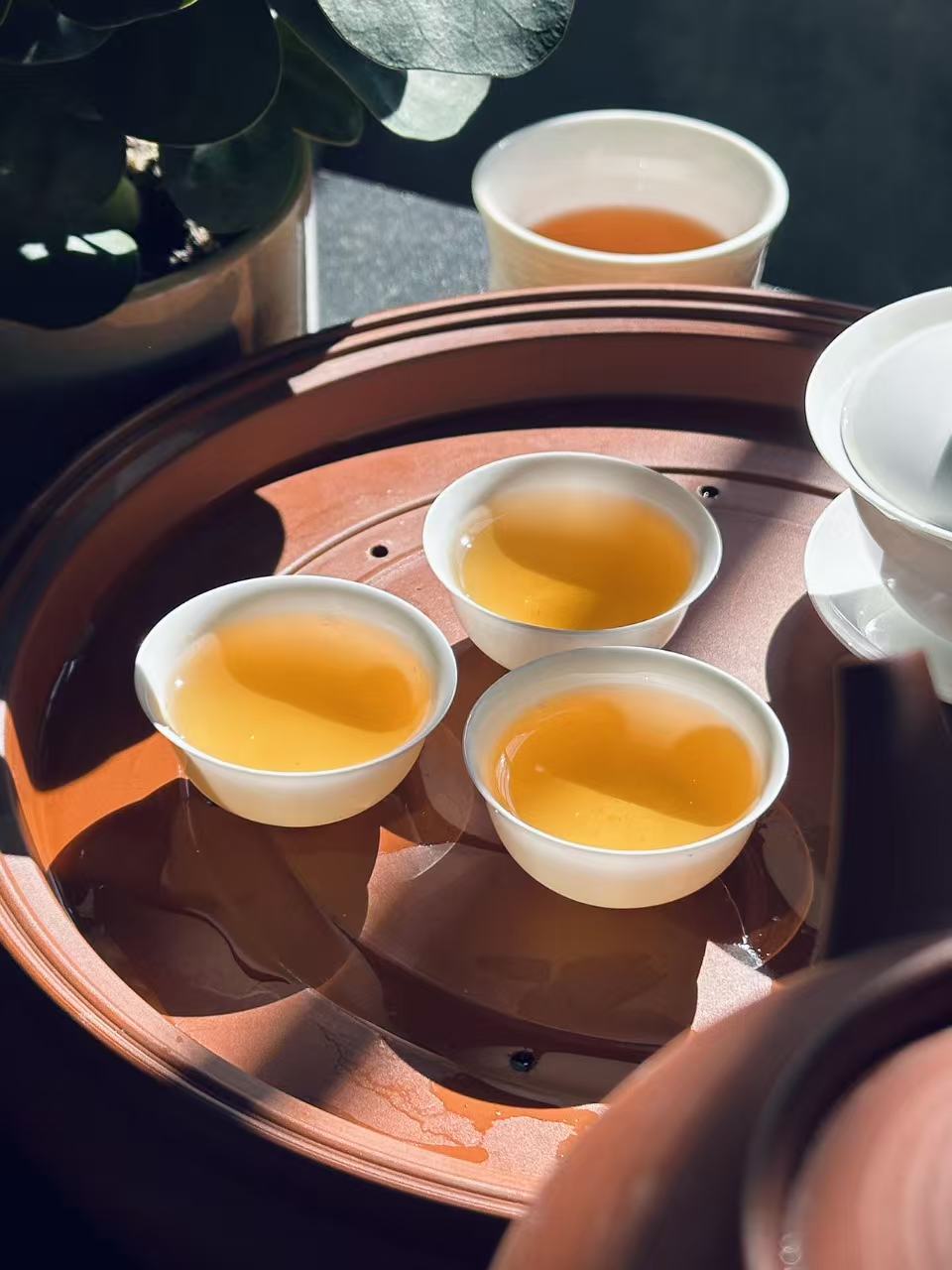 Premium Phoenix Dan Cong Oolong Tea - Ancient Tree Ya Shi Xiang (Duck Shit Aroma), 250g (500+ Year Old Trees)