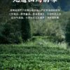 微信图片_20260202234507_1659_6 Ma Tou Yan Rou Gui Rock Oolong Tea - Wuyi Mountain Yancha 2026Fresh Harvest, 336g Two-Box Set (40 Servings)