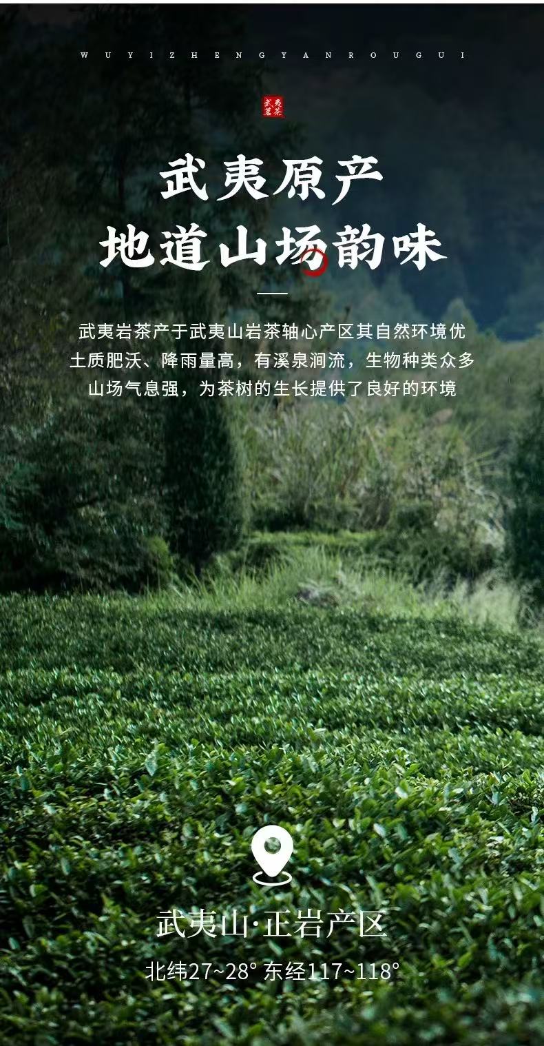 微信图片_20260202234507_1659_6 Ma Tou Yan Rou Gui Rock Oolong Tea - Wuyi Mountain Yancha 2026Fresh Harvest, 336g Two-Box Set (40 Servings)