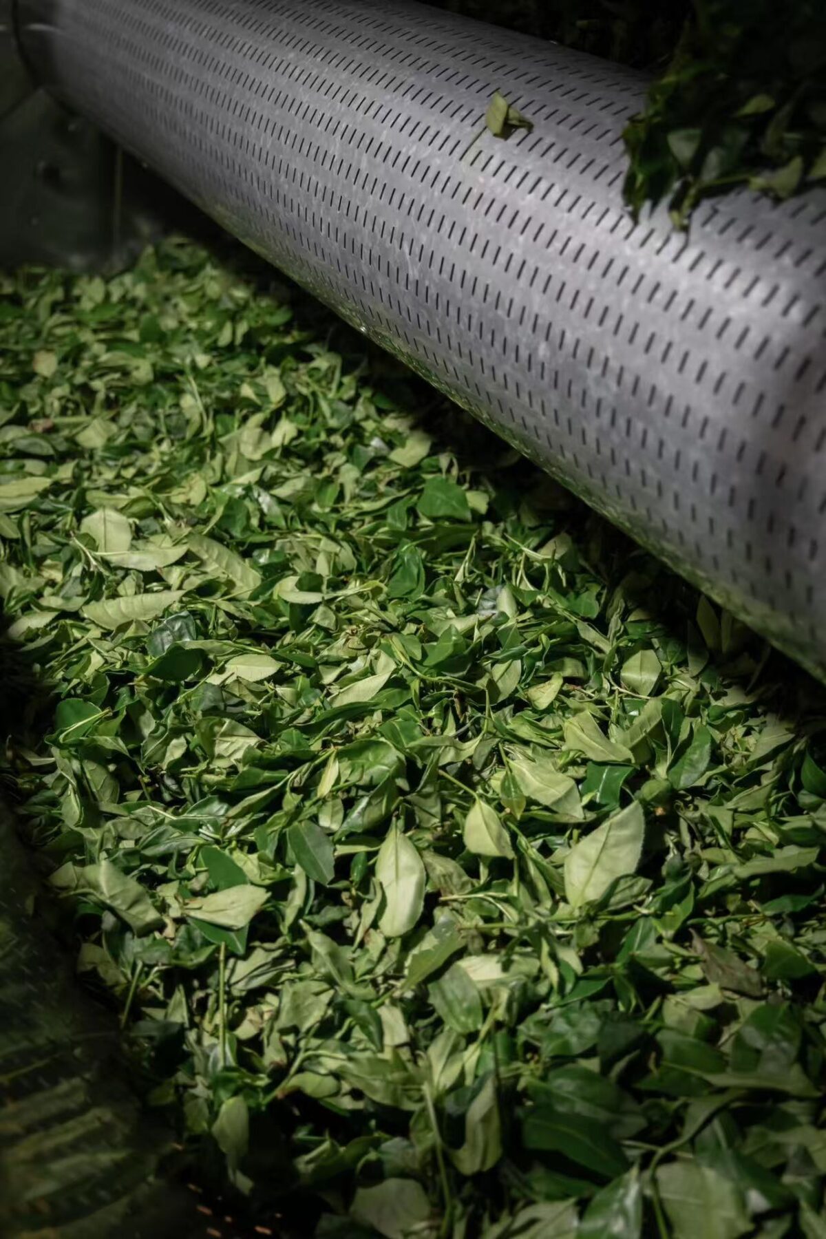 微信图片_20260202234920_1672_6 Ma Tou Yan Rou Gui Rock Oolong Tea - Wuyi Mountain Yancha 2026Fresh Harvest, 336g Two-Box Set (40 Servings)