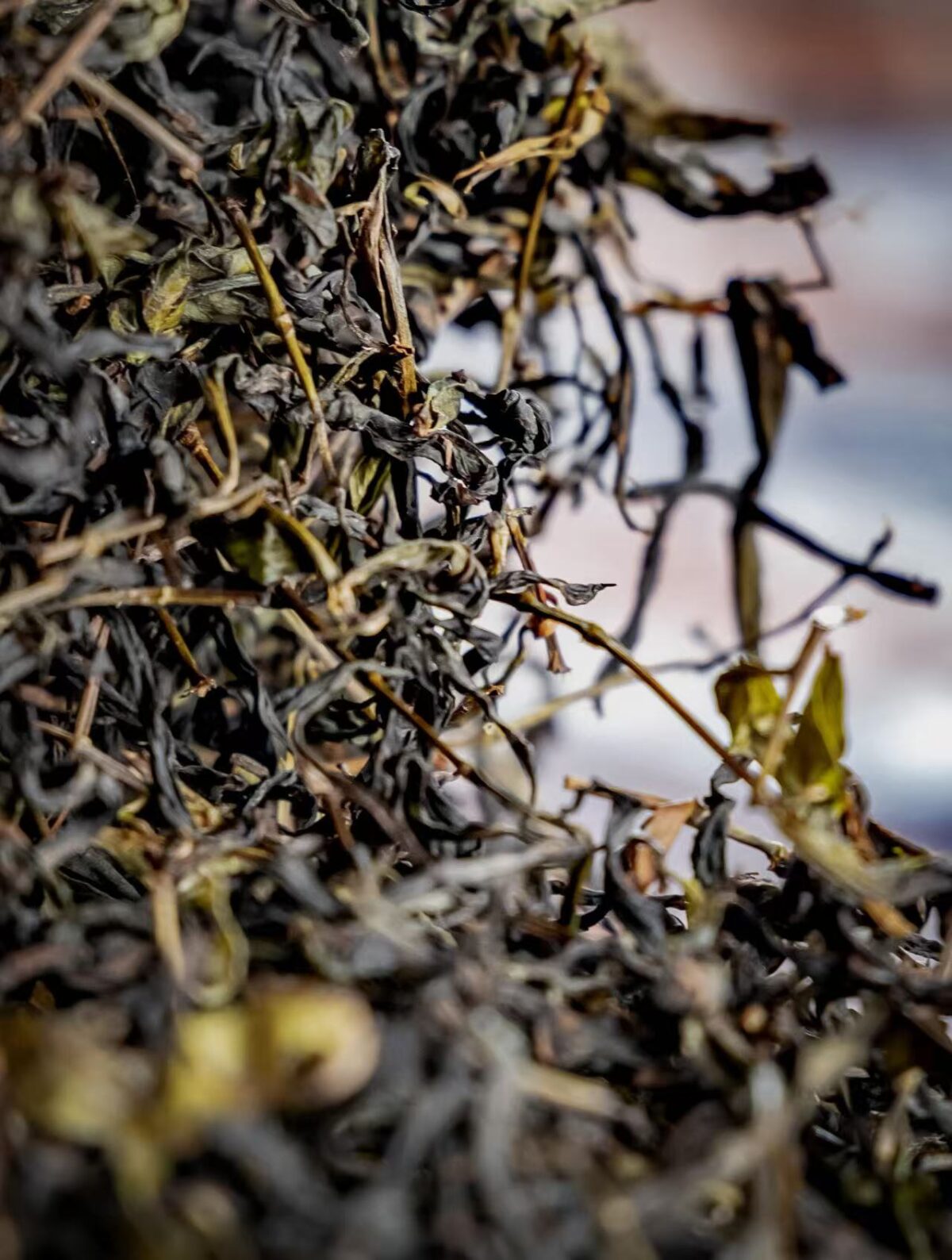 微信图片_20260202234924_1676_6 Ma Tou Yan Rou Gui Rock Oolong Tea - Wuyi Mountain Yancha 2026Fresh Harvest, 336g Two-Box Set (40 Servings)