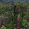 Wuyi Rock Tea