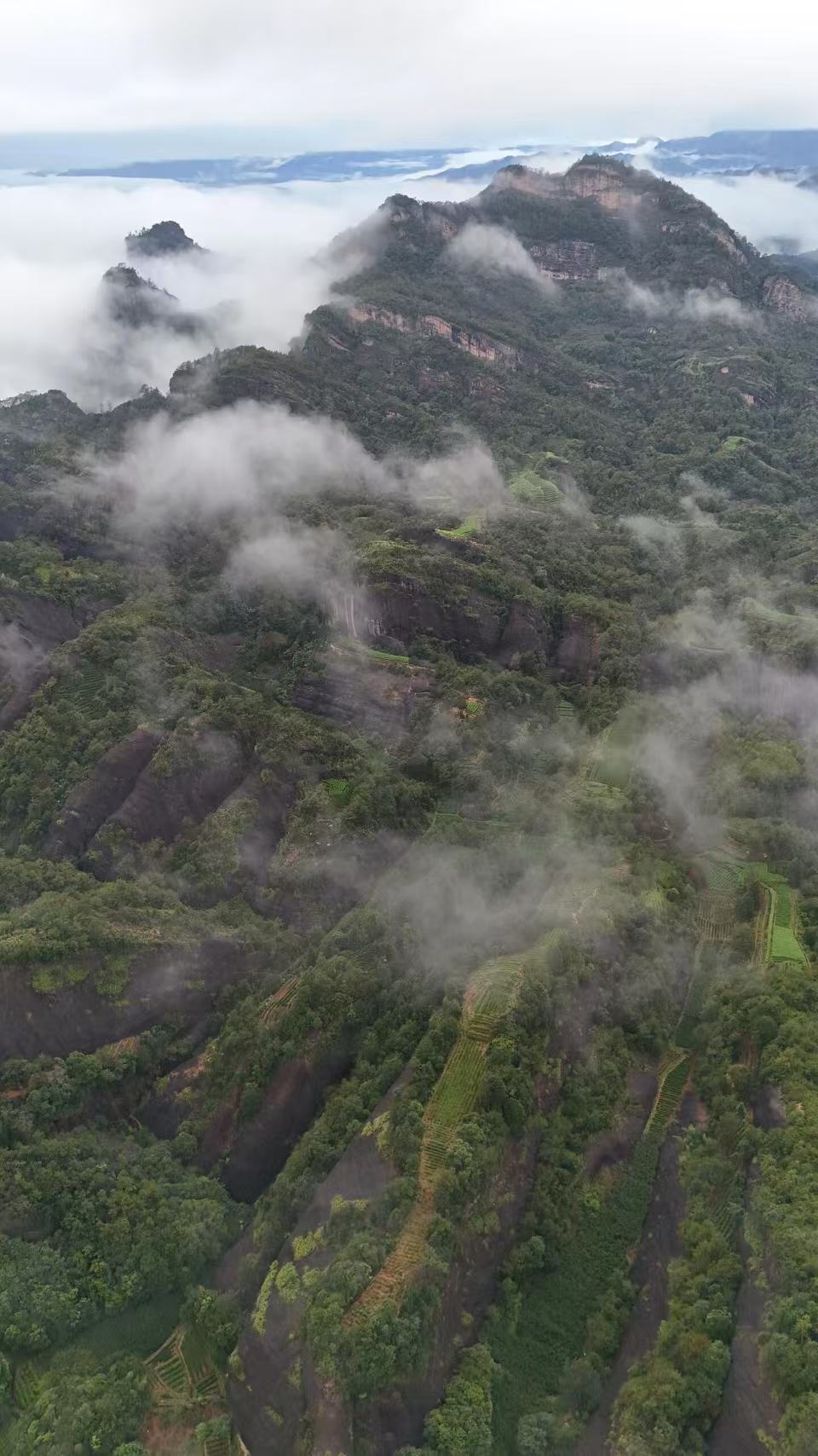 微信图片_20260204154953_1712_6 Hu Xiao Yan Rou Gui Rock Oolong Tea - Wuyi Mountain Zheng Yan Yancha, 336g Two-Box Set (40 Servings)