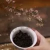 Hu Xiao Yan Rou Gui Tea - Premium 336g Wuyi Rock Tea Gift Set