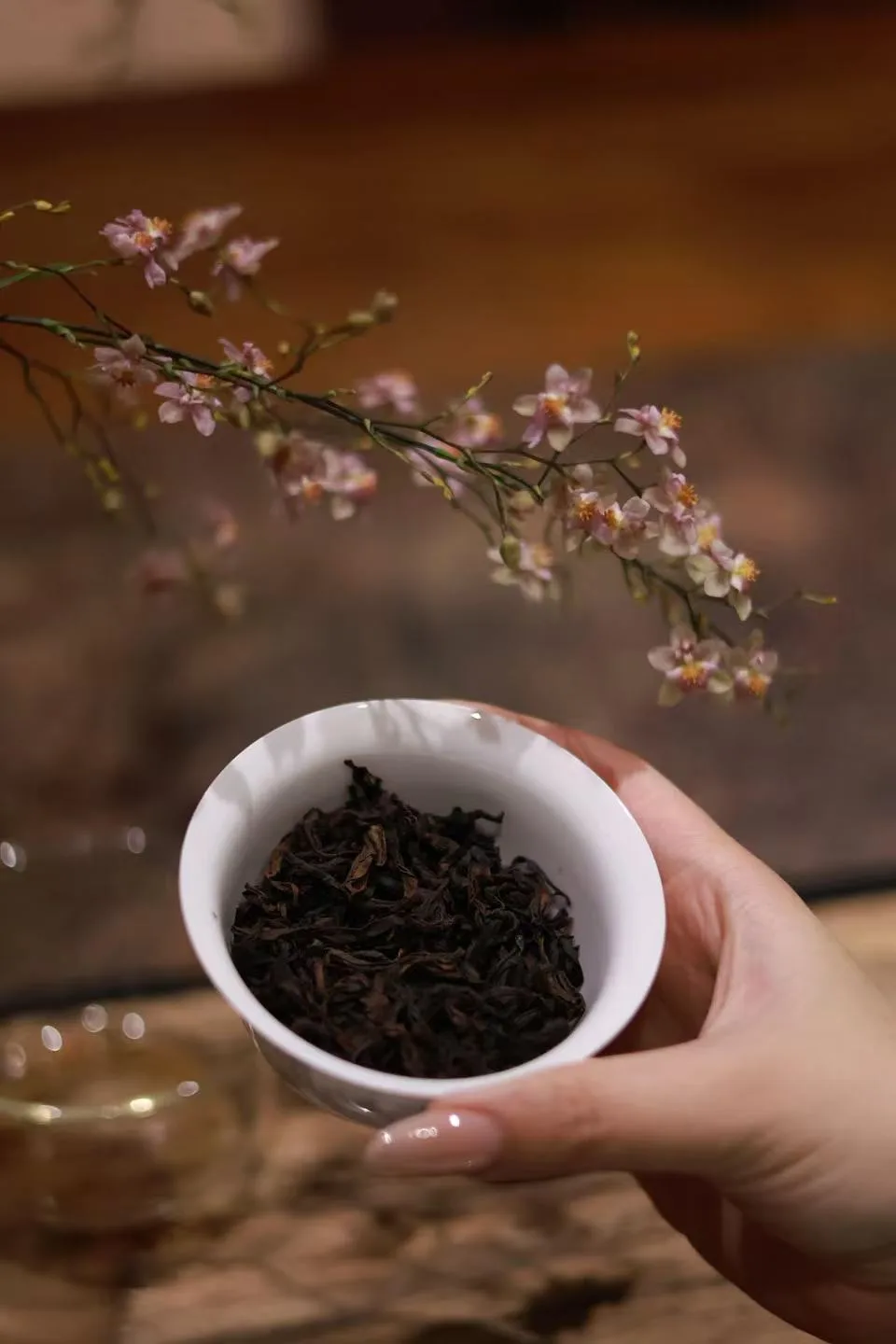 Hu Xiao Yan Rou Gui Tea - Premium 336g Wuyi Rock Tea Gift Set