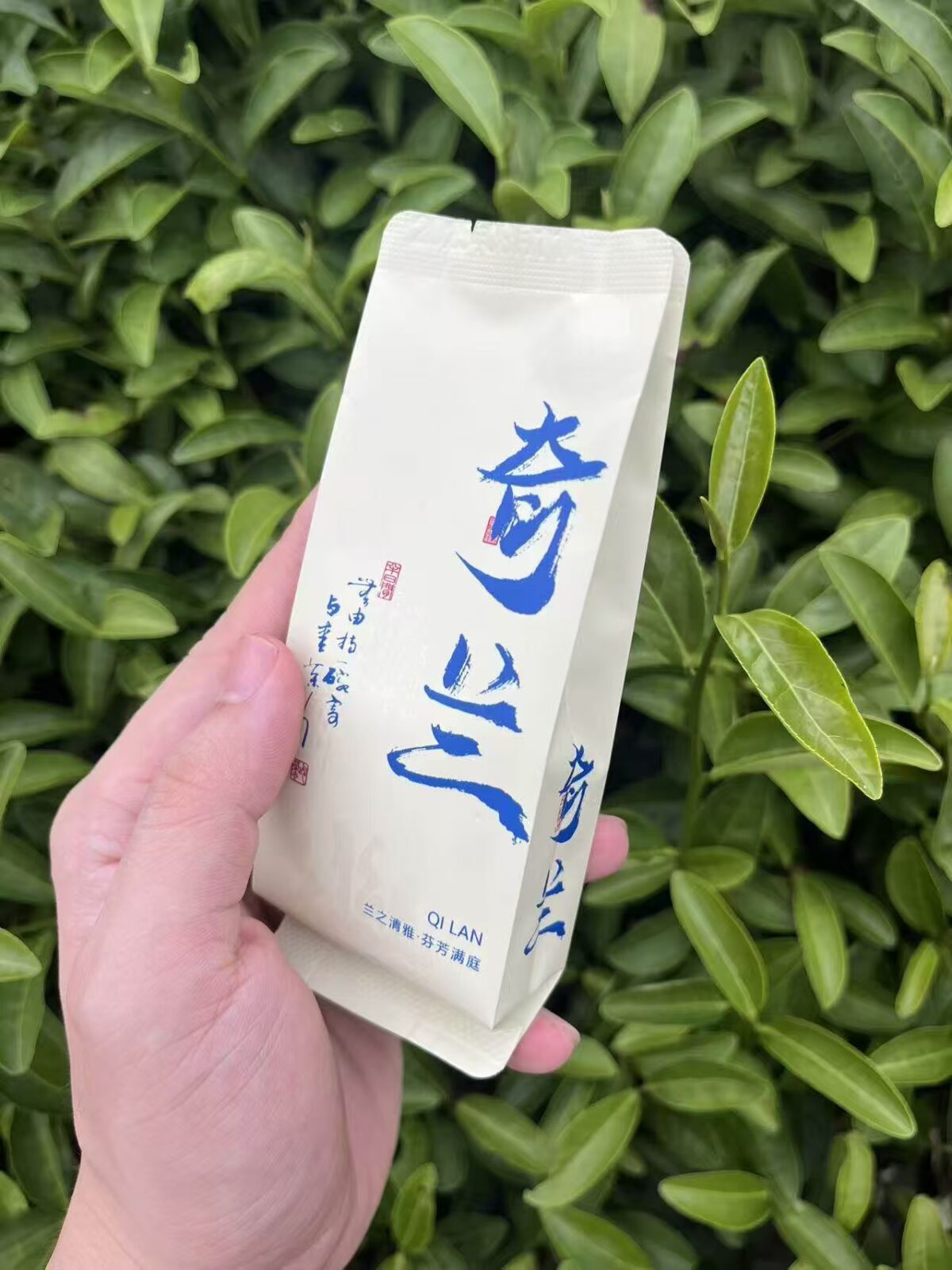 Wuyi Mountain Zheng Yan Qi Lan Rock Oolong Tea - Aromatic Floral Yancha, 336g Two-Box Set (40 Servings)