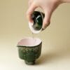 Er Cai Gaiwan - Elegant Green Porcelain with Hand-Painted Bamboo Leaf 110ml