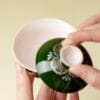 Er Cai Gaiwan - Elegant Green Porcelain with Hand-Painted Bamboo Leaf 110ml