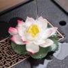 Color-Changing Lotus Sculpture Tea Pet: 1 Magical Masterpiece for Your Serene Tea Table