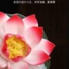 Color-Changing Lotus Sculpture Tea Pet: 1 Magical Masterpiece for Your Serene Tea Table
