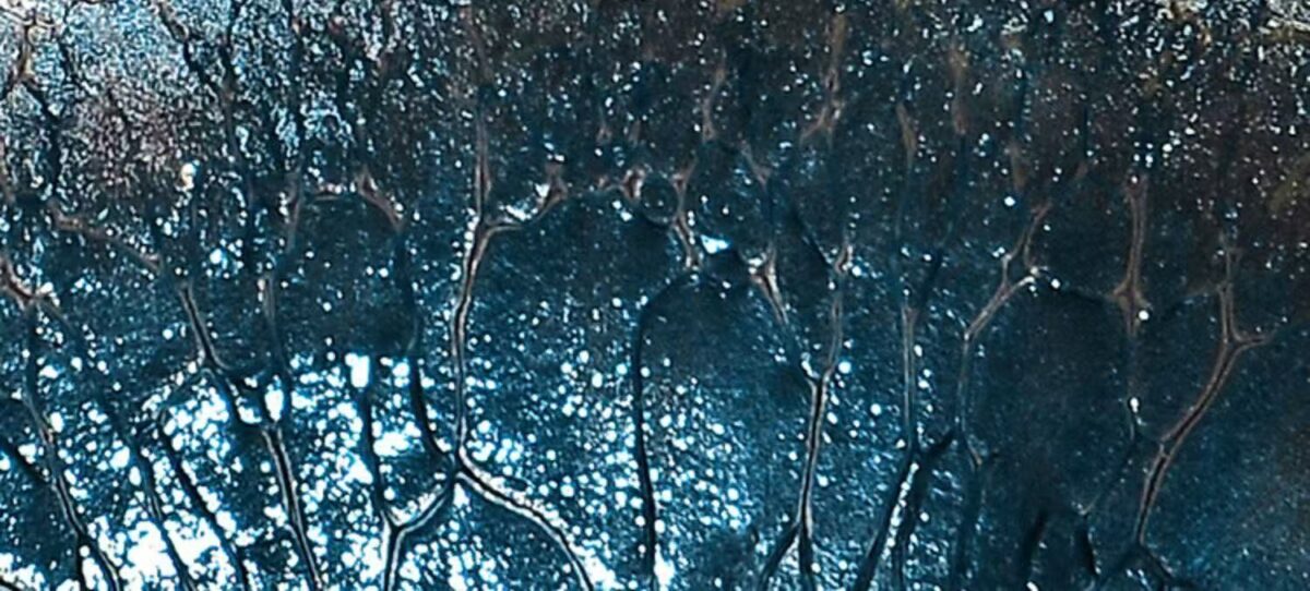 微信图片_20260222014454_2031_6 Indigo Blue "Gilded Leaf" Jian Zhan Teacup - Autumn Leaf Design (100ml)