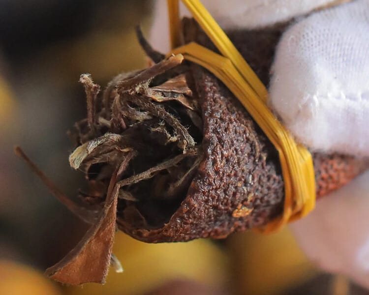 Three Treasures Tea - 250g of Aged Tangerine Peel & White Tea