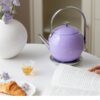 The Serenity Kettle - 0.6L Rapid-Boil Electric Kettle for Tea, 304 Stainless Steel, Auto Shut-Off