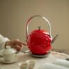 The Serenity Kettle - 0.6L Rapid-Boil Electric Kettle for Tea, 304 Stainless Steel, Auto Shut-Off