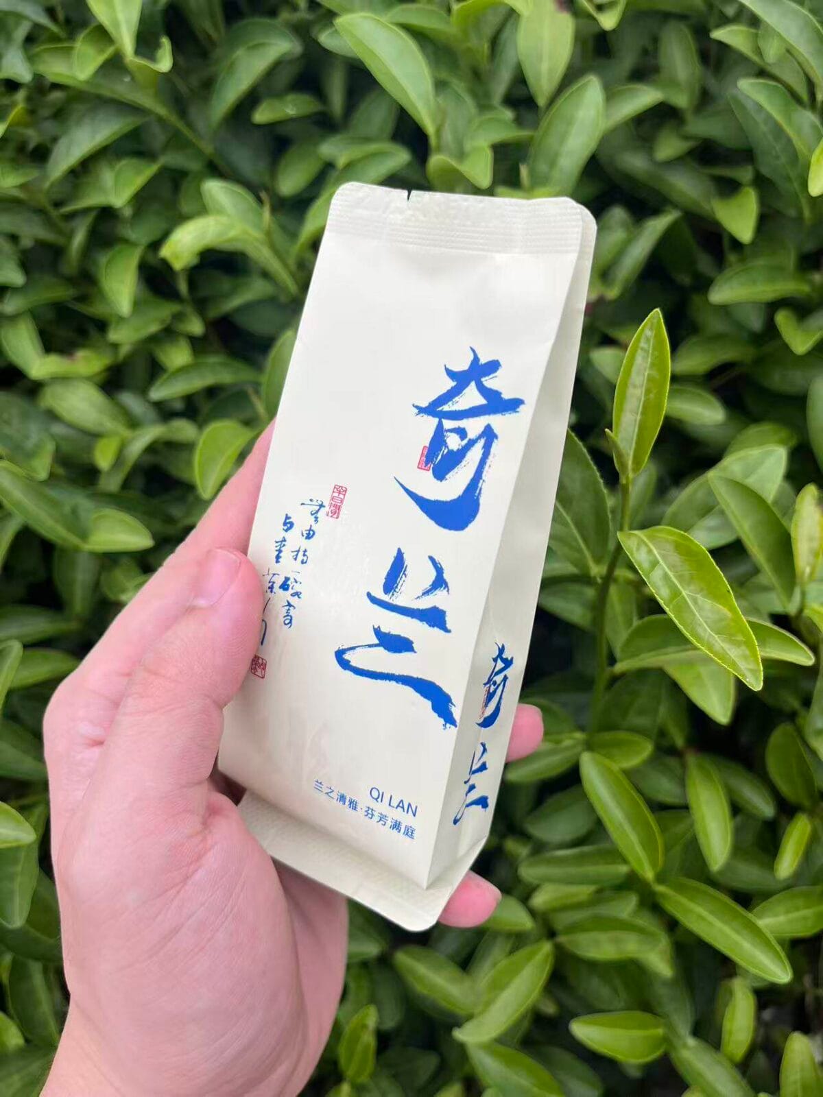 Qi Lan Rock Oolong Tea: 336g of Intense Orchid Aroma & Rock Rhyme