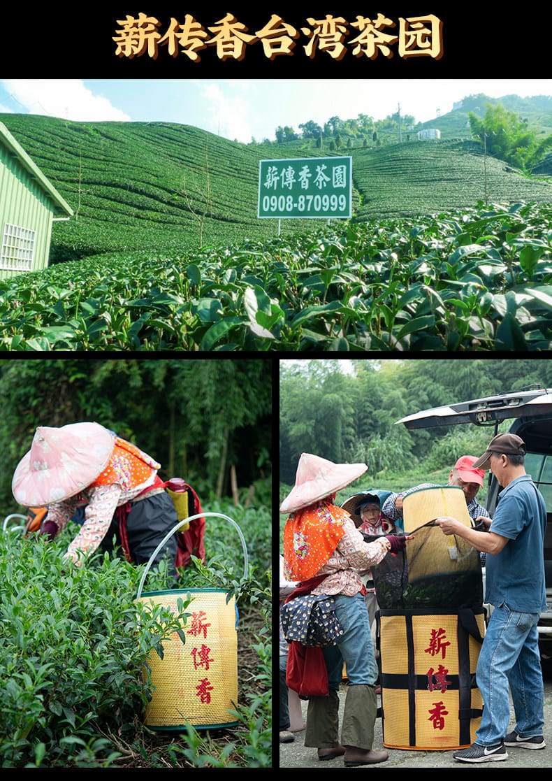 Natural Jin Xuan Milky Oolong Tea: 250g of Pure, Creamy Bliss
