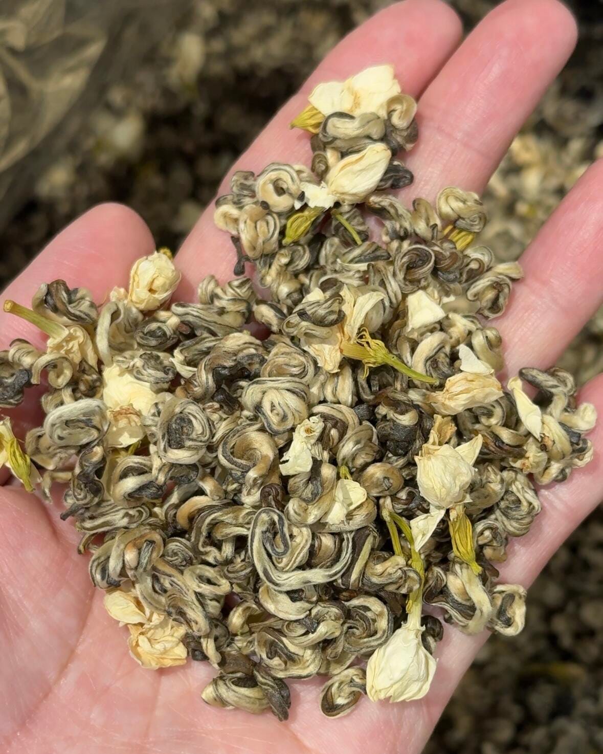 Jasmine Pearl Tea: 250g of China's Finest Scented Pearl Green Tea