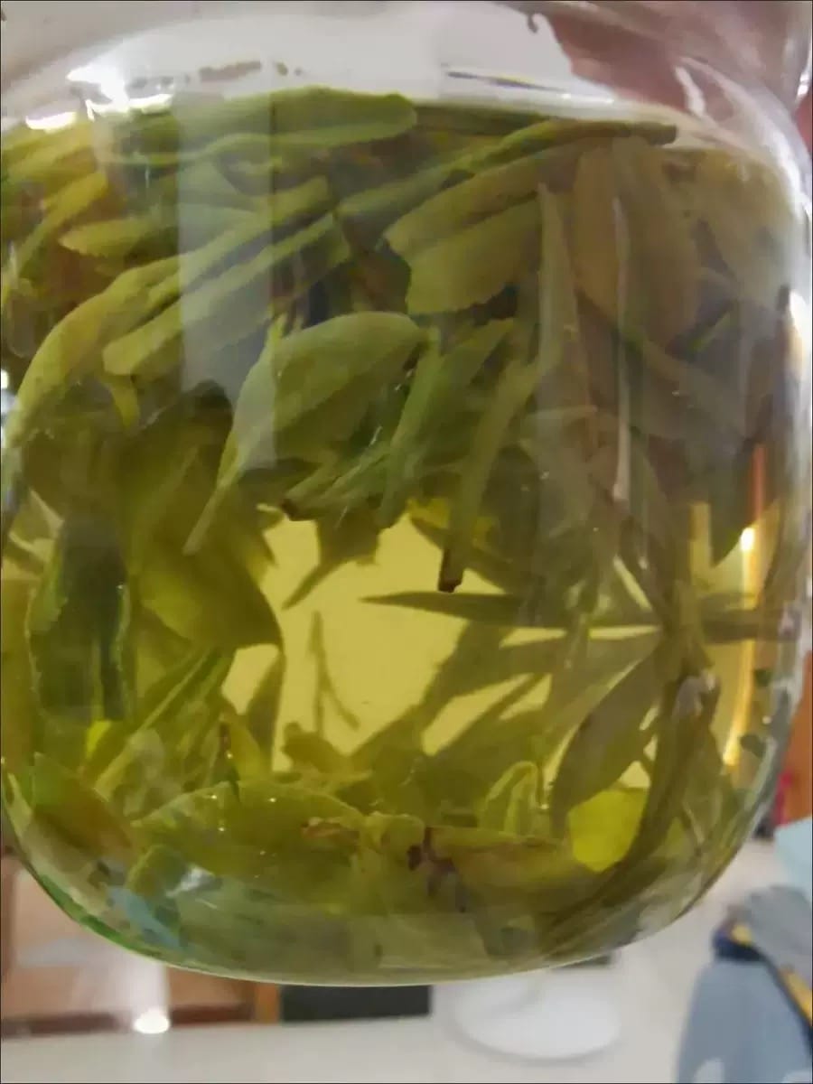 Don't Miss Spring! Premium Pre-Rain Longjing Tea, Limited 250g