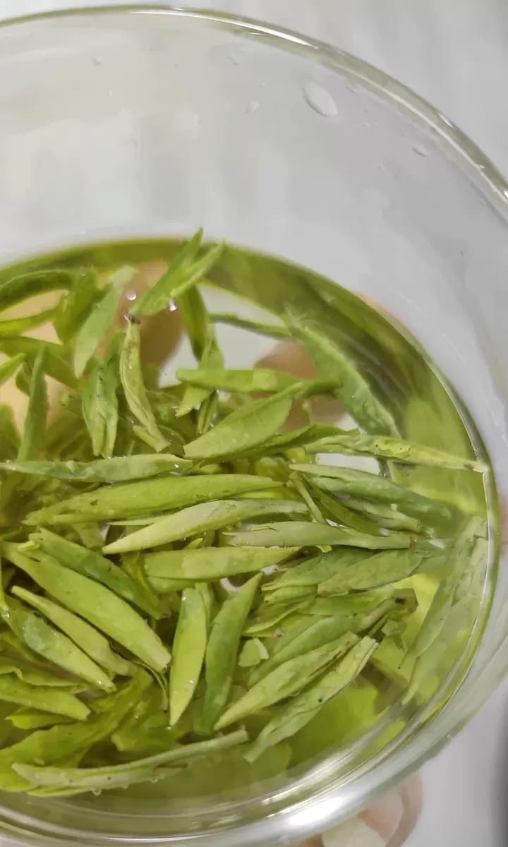 Don't Miss Spring! Premium Pre-Rain Longjing Tea, Limited 250g