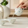 Portable Polka Dot Porcelain Travel Set: Your Complete 3-Piece Tea Kit