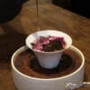 Yunnan Rose Scented Black Tea: 100% Natural, 0 Additives, 80g Caddy