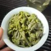微信图片_20260425212820_2689_2 Zhengwei Tieguanyin
