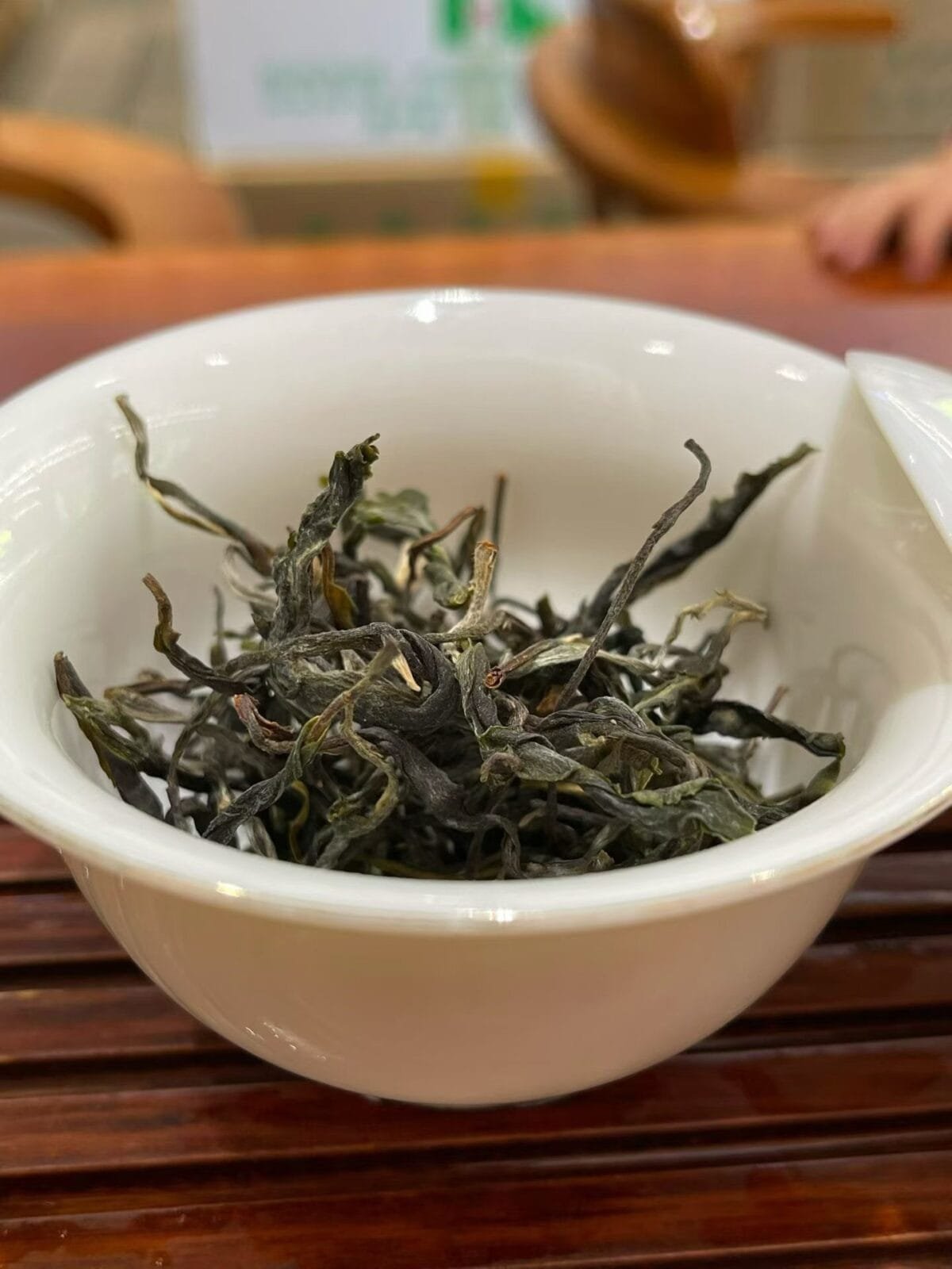 Jingmai Gushu Spring Tea: 250g of 2026’s Sweetest Harvest
