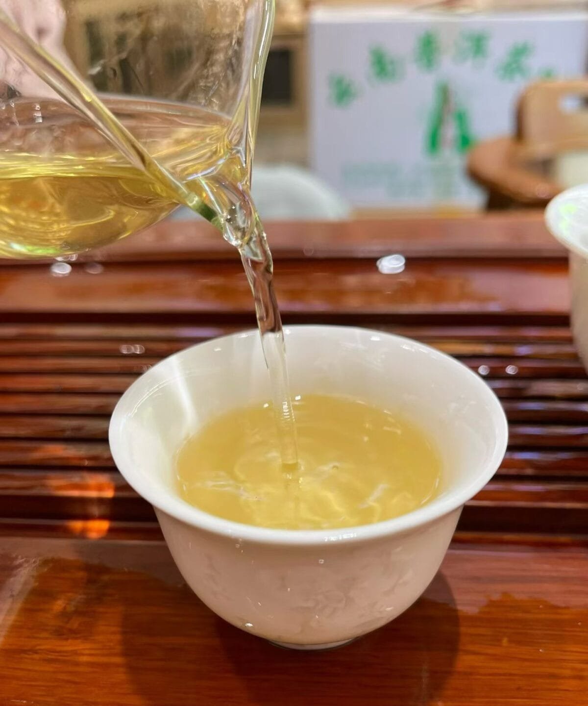 Jingmai Gushu Spring Tea: 250g of 2026’s Sweetest Harvest