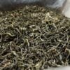 Jingmai Gushu Spring Tea: 250g of 2026’s Sweetest Harvest
