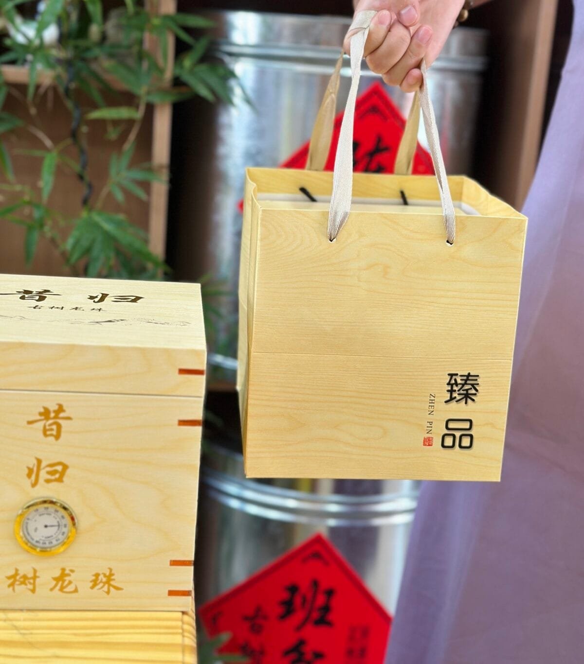 Manglu Mountain Raw Puerh: Irresistible 2016 Tea Balls, 500g Pure Joy