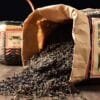 Aged Liu Bao Tea: Unforgettable 1998 Vintage, 500g of "Four Perfections"