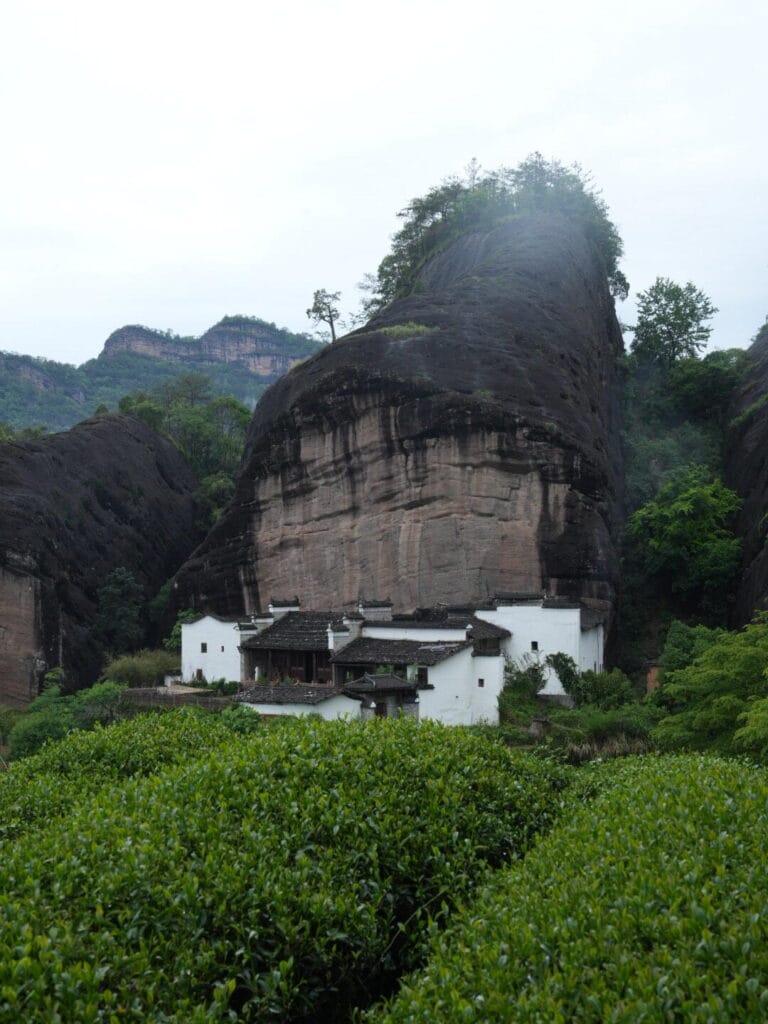 Ma Tou Yan Rou Gui