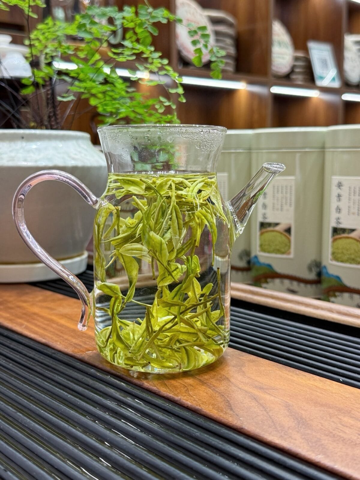 Umami Green Tea