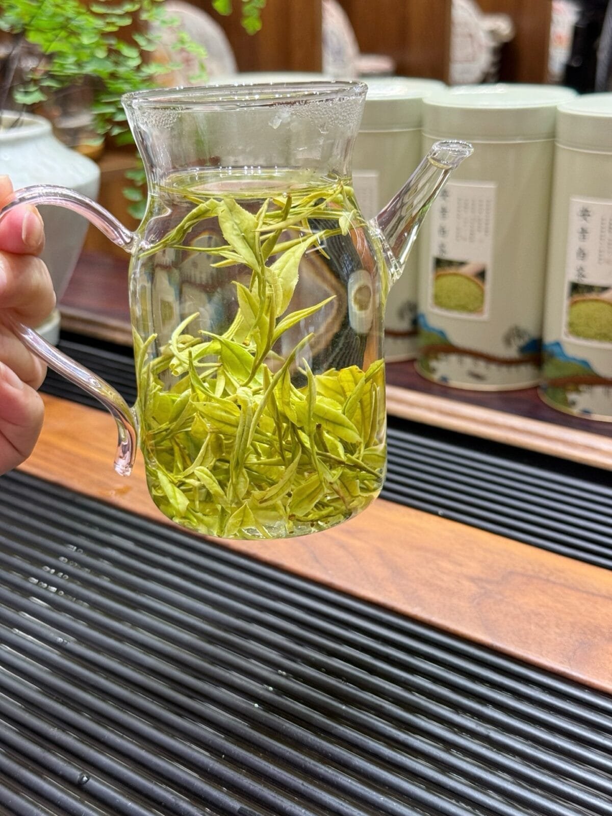 2026 Anji Bai Cha