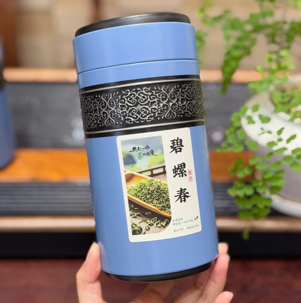 Biluochun Green Tea