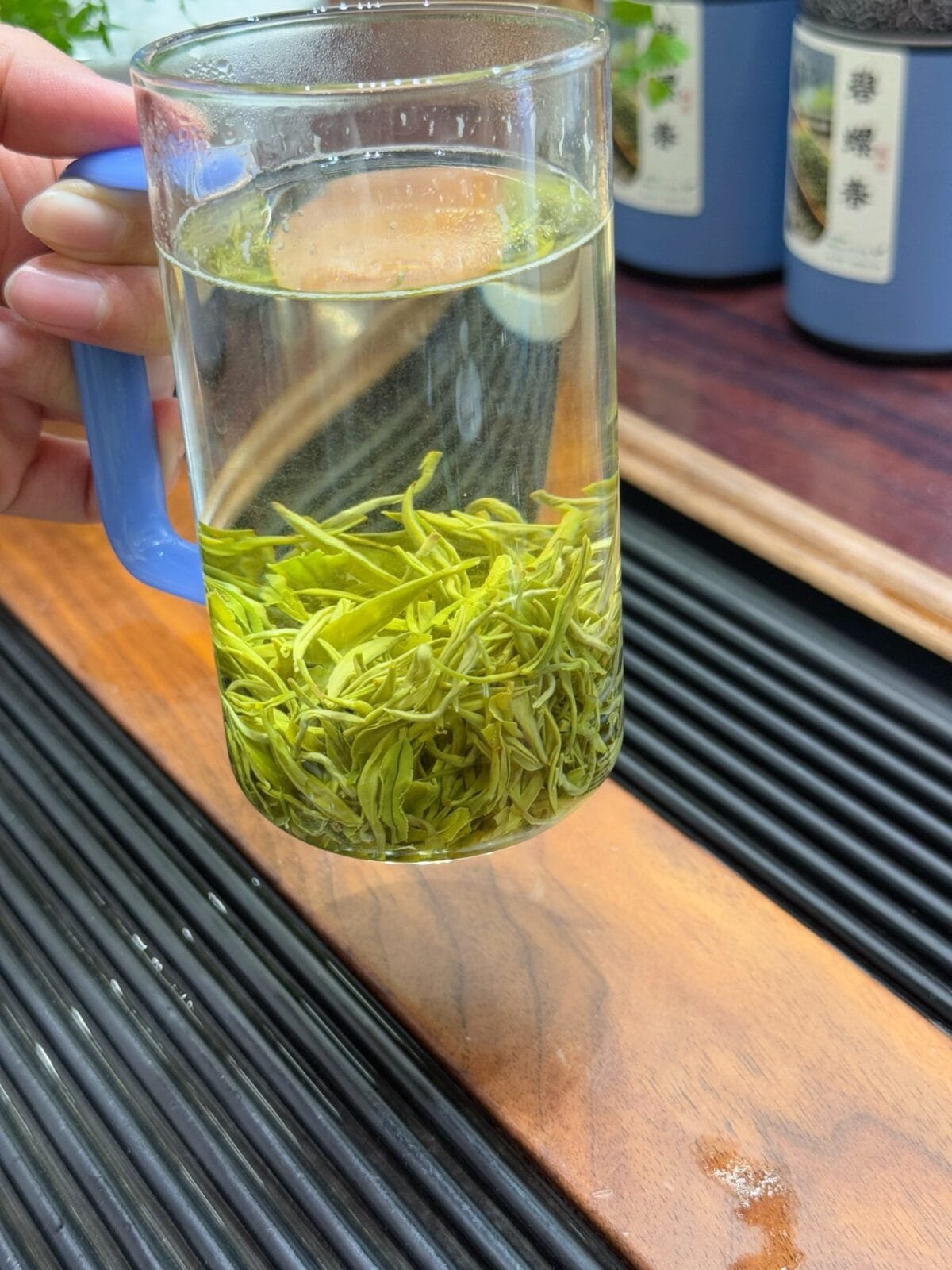 Biluochun Green Tea: Absolutely Divine 2026 Spring Harvest, 250g of Spiral Perfection