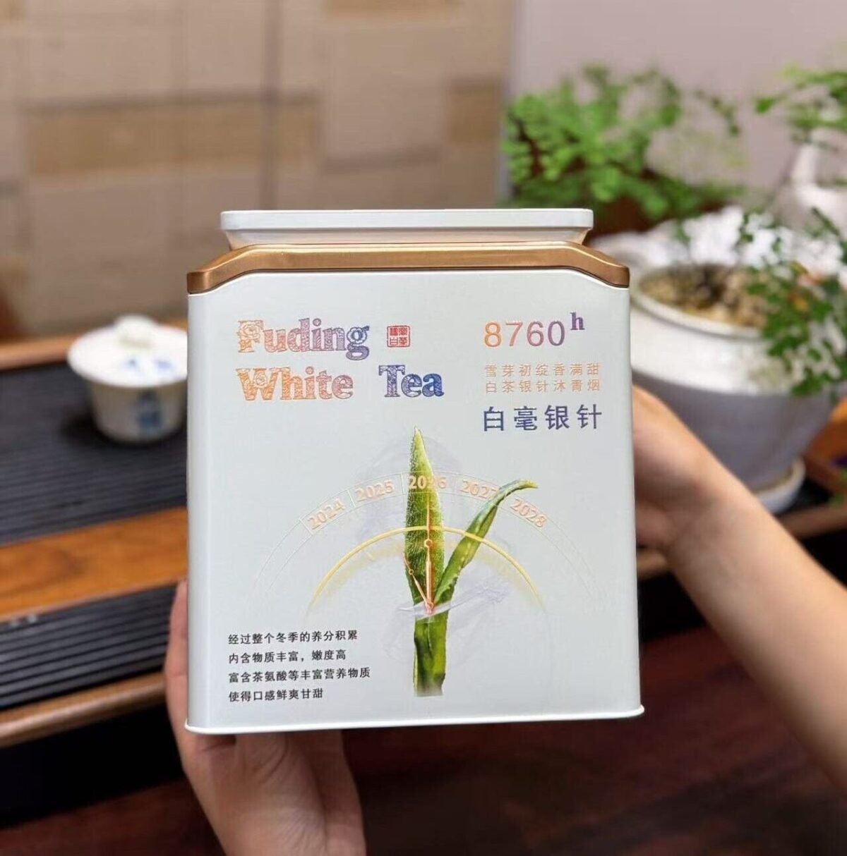 Silver Needle White Tea