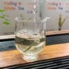 2026 Spring White Tea