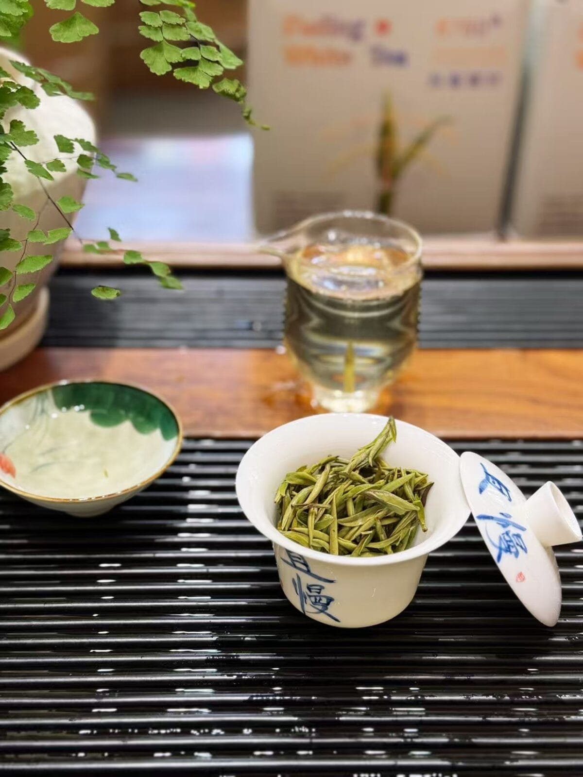 Bai Hao Yin Zhen