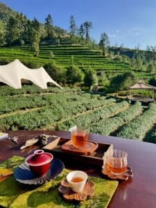 How to Brew Tea