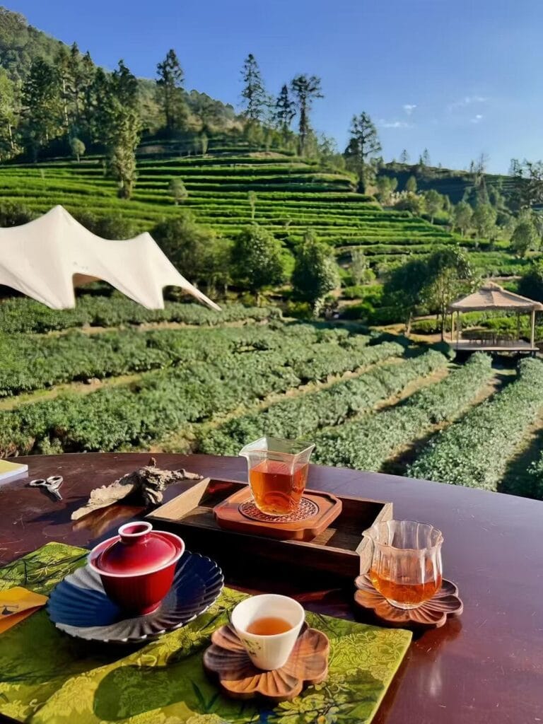 How to Brew Tea