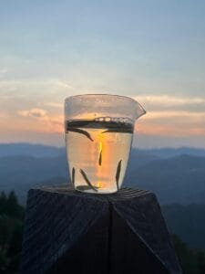Tea Drinking Schedule